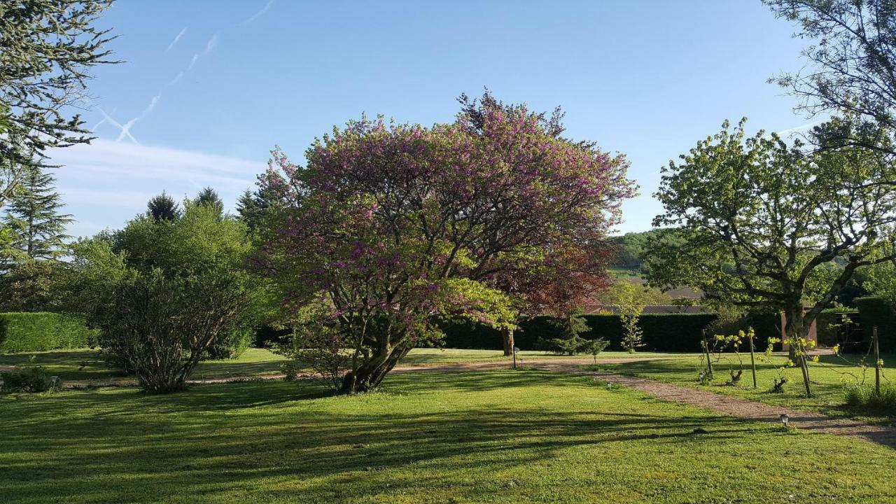 B&B Des Histoires D'Anges - Cote Jardin - Accueil Velo 图尔尼 外观 照片